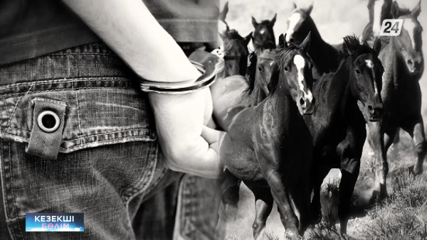 Жетісу облысында барымташылар ұсталды | Кезекші бөлім