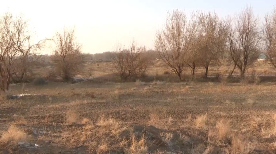 97 тыс. га сельхозземель области Жетысу вернули в госсобственность