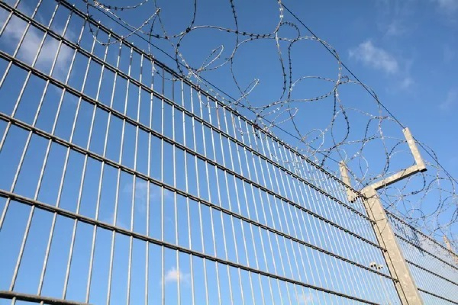 10 иностранцев незаконно пересекли границу Казахстана: задержаны 4 предполагаемых организатора
