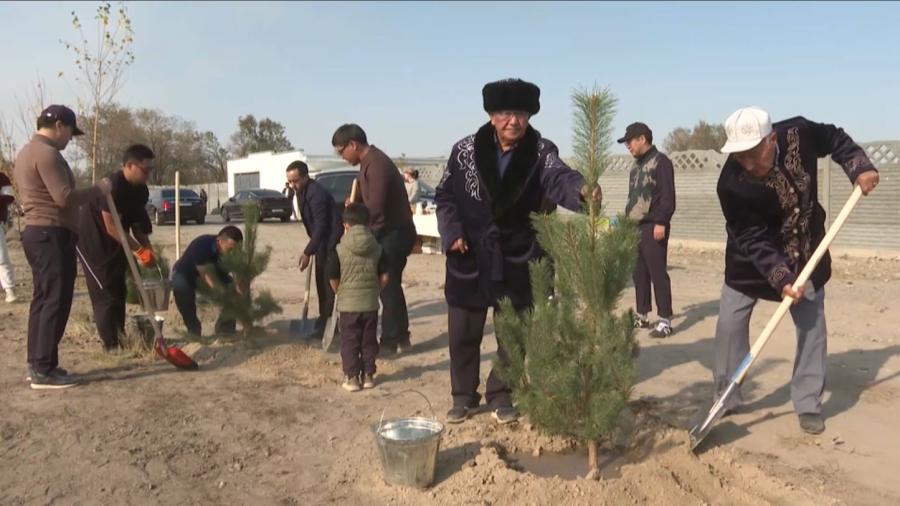 Таразда «Таза Қазақстан» аясында 7 мыңға жуық ағаш көшеті егілді