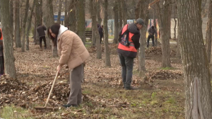 Тараз кітапханашылары қала тазалығына үлес қосты