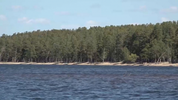 Экоакция «Мөлдір бұлақ» проходит в Акмолинской области