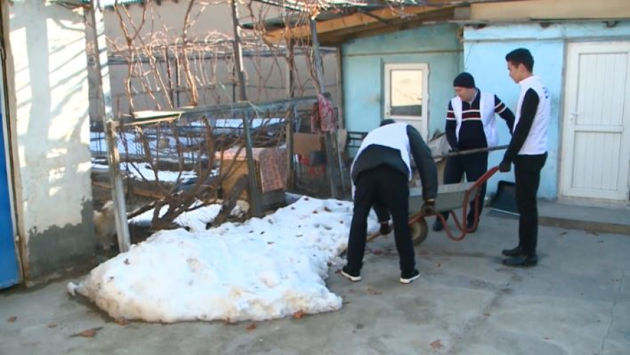 Молодёжные активисты помогли пенсионерке из Туркестана