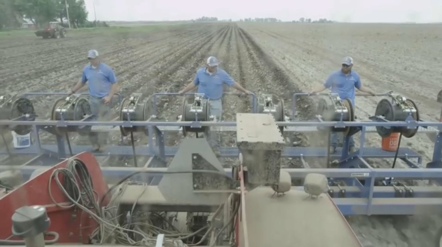 Какие технологии внедряют в сельское хозяйство в других странах