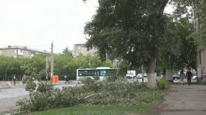 Последствия урагана устраняют в Петропавловске