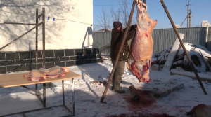 Сезон заготовки мяса на зиму стартовал в Кокшетау