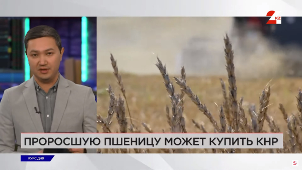 Сколько пшеницы у Казахстана