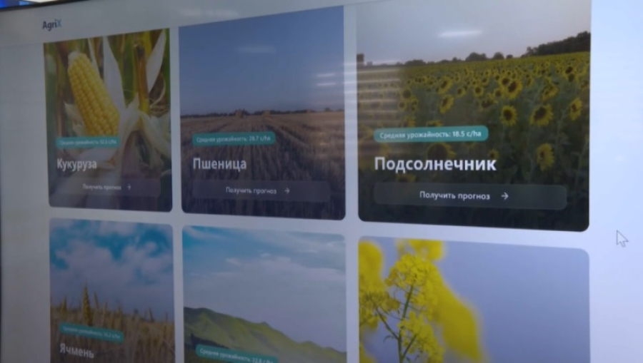Как работает цифровой помощник аграриев