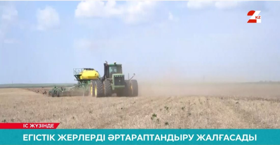 Егіс алқабы 180 мың гектарға ұлғаяды