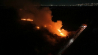 Пожары уничтожили более 50 тыс. га леса в Мексике