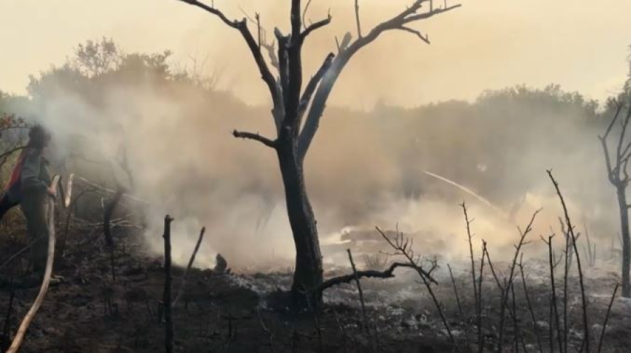 Пожары в Патагонии уничтожили десятки тысяч гектаров