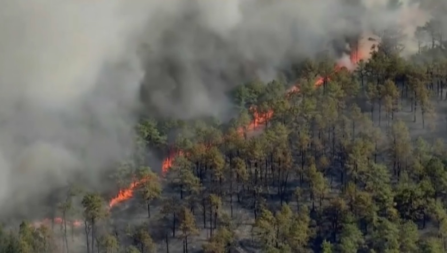 Подростка арестовали в Нью-Джерси по подозрению в поджоге леса