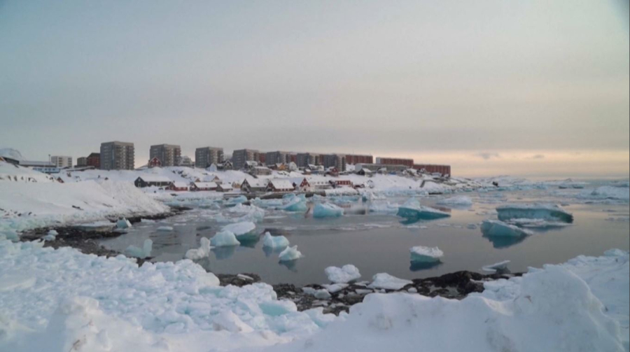 Данияда Гренландия туына сұраныс артты