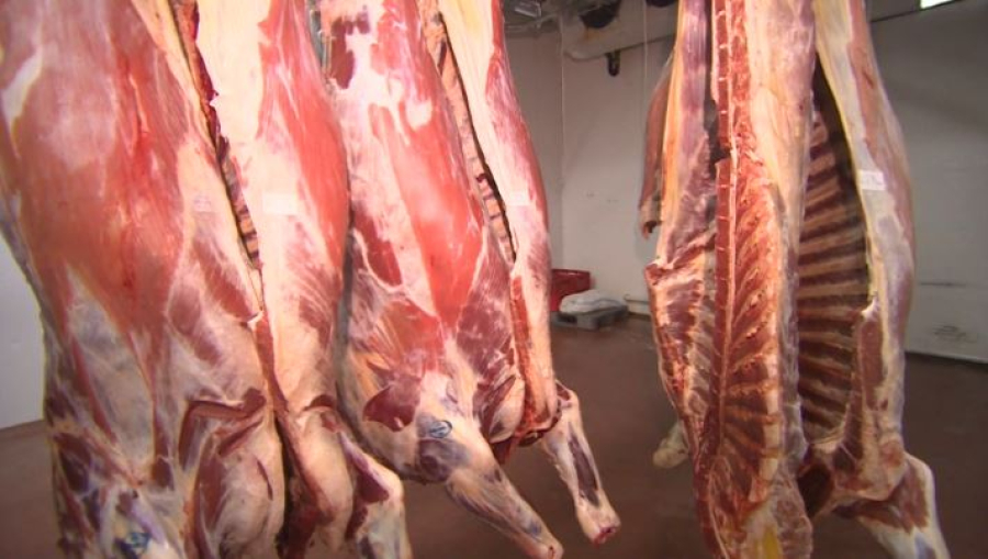 Казахстан ввёл временный запрет на экспорт бычков