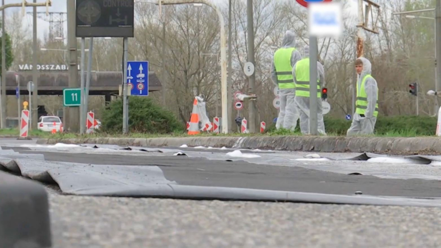 Словакияда аусыл ауруынан екі мыңнан аса малдың көзі жойылды