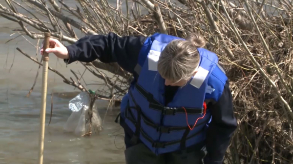 ШҚО-да гидрологтар өзендердің деңгейін бақылап отыр