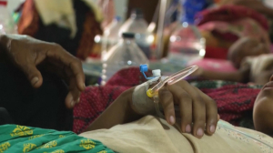 Лихорадка денге в Бангладеш: число жертв достигло 778 человек