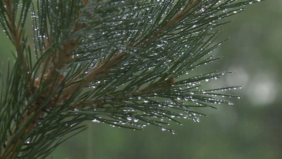 Солтүстік пен орталық өңірлерде ауа температурасы төмендейді