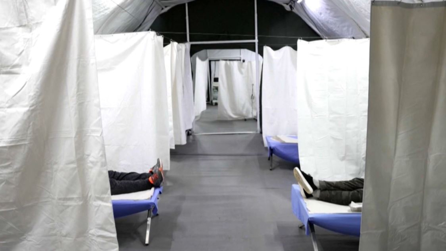 Францияда денге және чикунгунья тарады