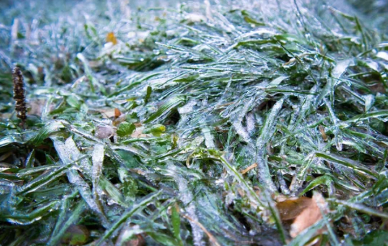 Осадки и гололед прогнозируют в Казахстане