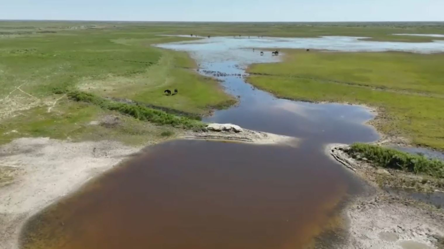 Таластың төменгі ағысындағы Қаракөл көлі толды