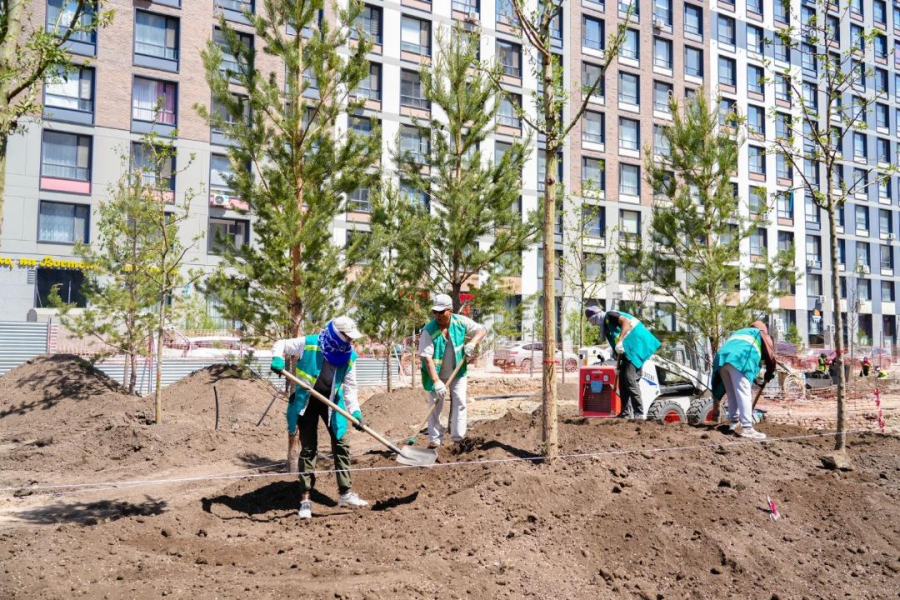 Масштабное озеленение и благоустройство: как меняется Астана