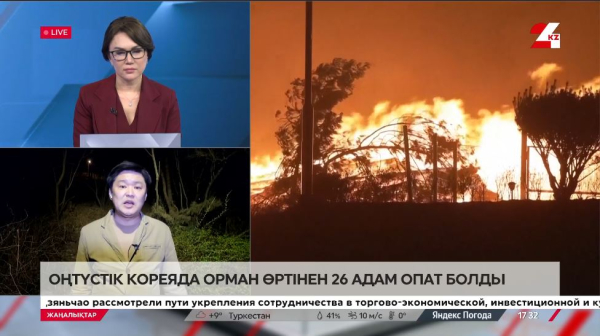 Кореяда орман өртінен 23 адам көз жұмды. LIVE