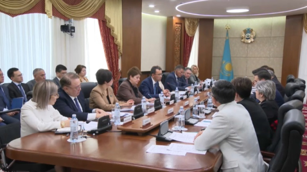 Совет по инклюзии создадут в Казахстане