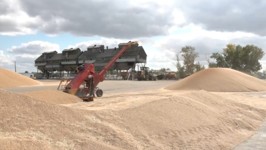 ХПП отказывали в приеме зерна и завышали тарифы