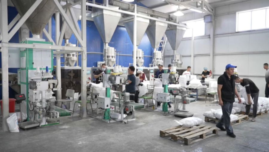 Поправки в Трудовой кодекс: баланс прав работников и работодателей