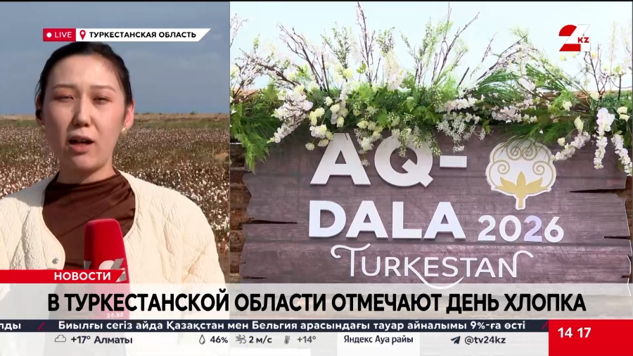 День хлопка отмечают в Туркестанской области. LIVE