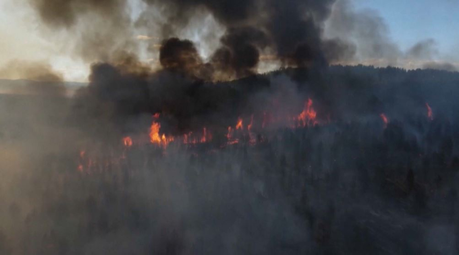 Бурятияда 14 мың гектар жер жанып кетті
