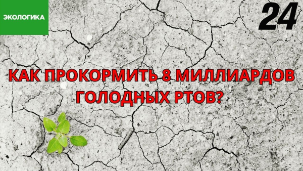 Голод не тётка, в лес не убежит. Как прокормить 8 млрд человек в продовольственный кризис | Экологика