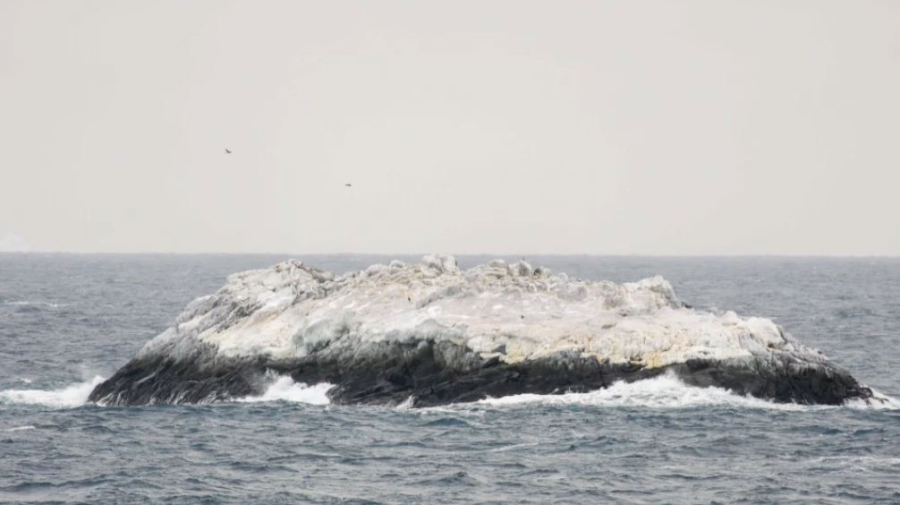 Антарктикада белгісіз арал табылды