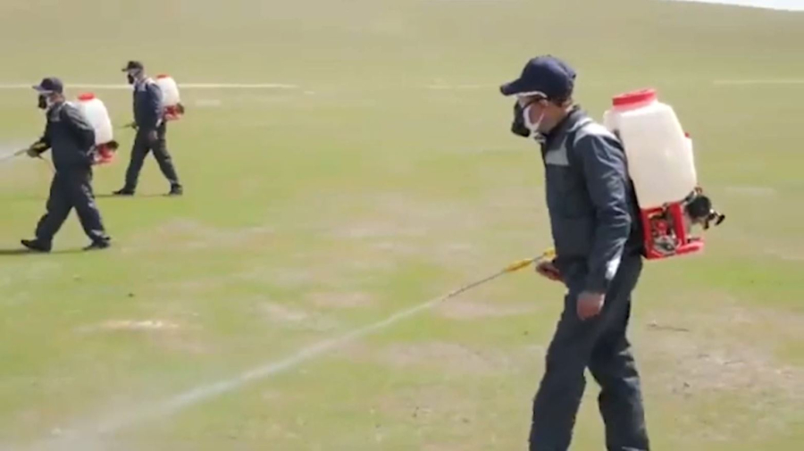 Өзбекстанда шегірткемен күрес күшейтілді