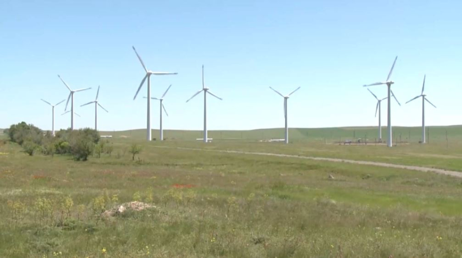 Қазақстан жасыл жобаларды дамытып жатыр