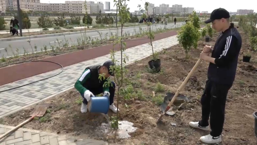 Ақтауда мыңға жуық студент тазалық акциясына қатысты