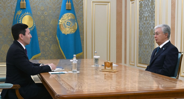 Президент принял председателя правления АО «Самрук-Қазына