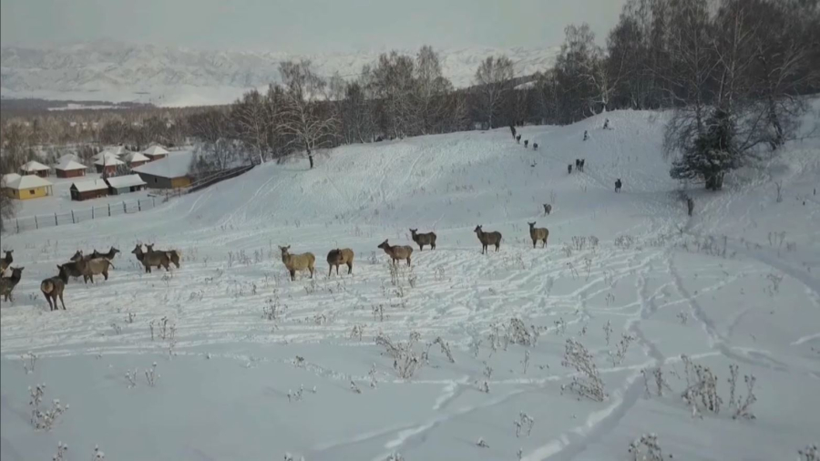 Қазақстанда ерекше қорғалатын 6 табиғи аумақ құрылады