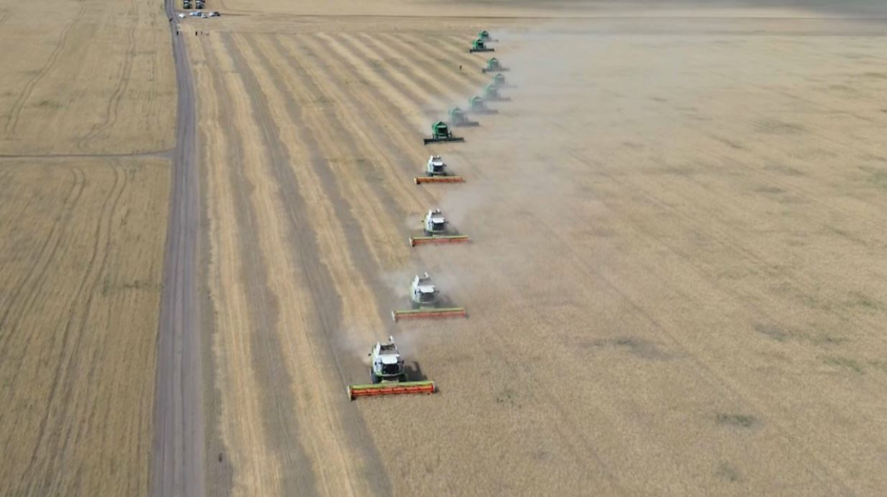 Ақмола облысында 2 млн тонна астық жиналды