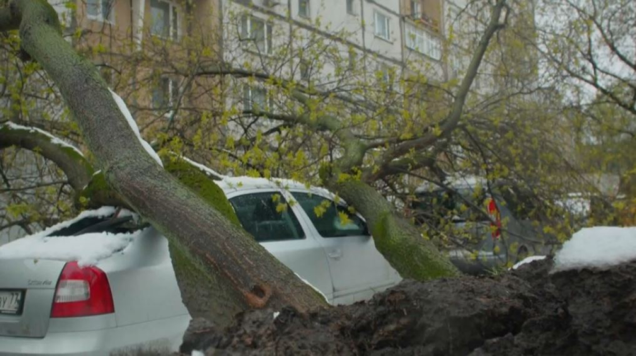 Три человека погибли из-за непогоды в России