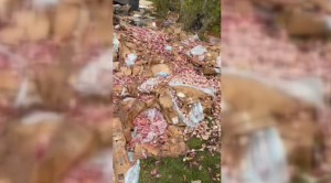 Қарағанды облысындағы орманға құс қалдықтарын төгіп кеткен