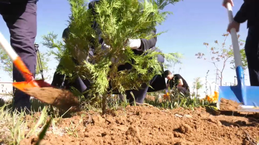 Мұнайлыда тазалық шарасы өтті