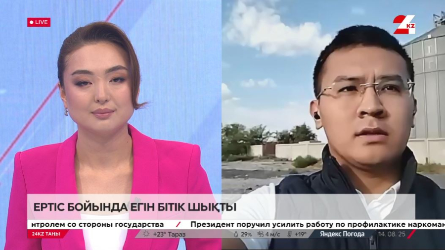 Ертіс бойында егін бітік шықты. Асылтас Құсайынов