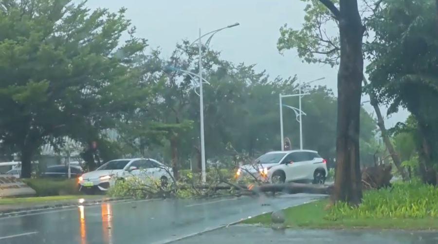 Қытайдың оңтүстігінде жойқын дауыл соқты