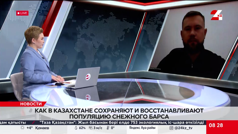 Как в Казахстане сохраняют и восстанавливают популяцию снежного барса. Алексей Грачев