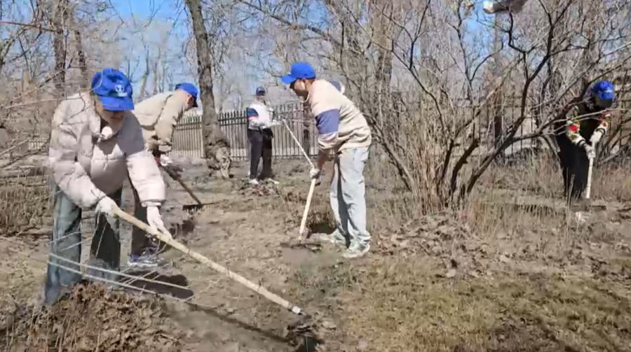 «Таза Қазақстан»: Абай облысында жасыл желек аумағы ұлғаяды