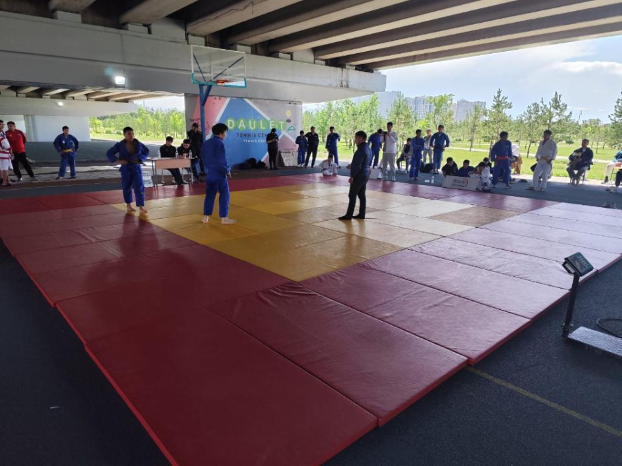 Астана күні: елордада күрес түрлері бойынша фестиваль басталды