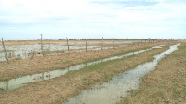 Диқандардың еңбегі зая кетті