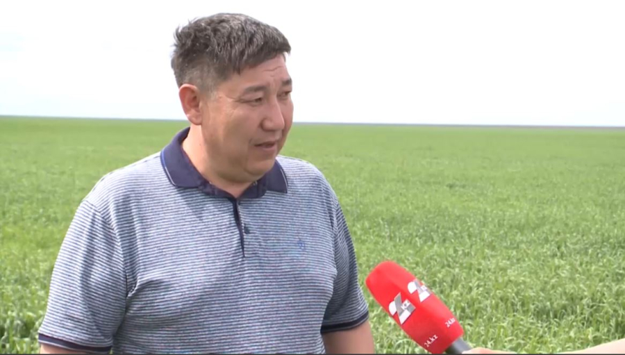 Сарыкөл ауданы Қостанай облысында үш жыл қатарынан астық түсімі бойынша көш бастап тұр